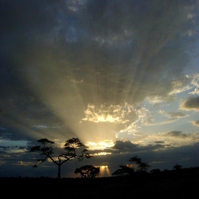 Masai Mara and Serengeti